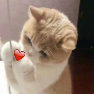 被cao开了上瘾了老想要
